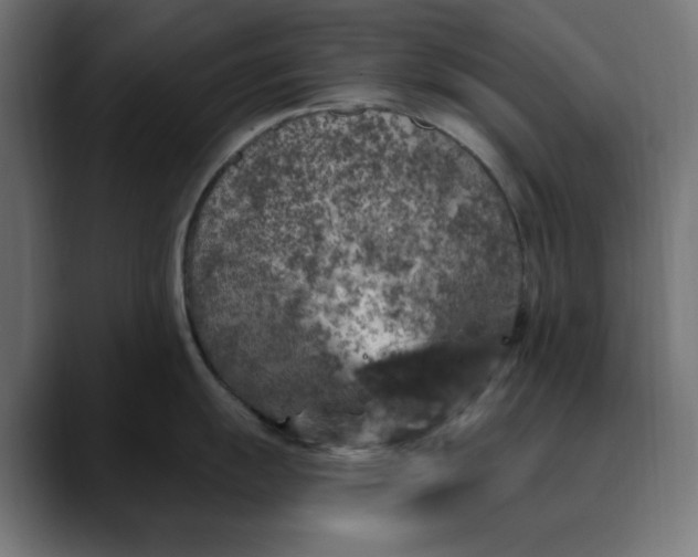 X0000089701055200707121350