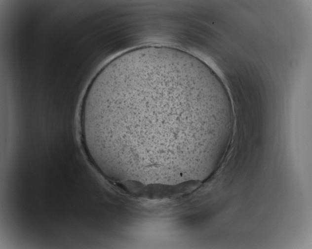 X0000089701056200707121350