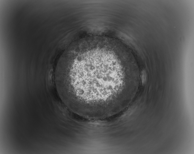 X0000089701059200707121350