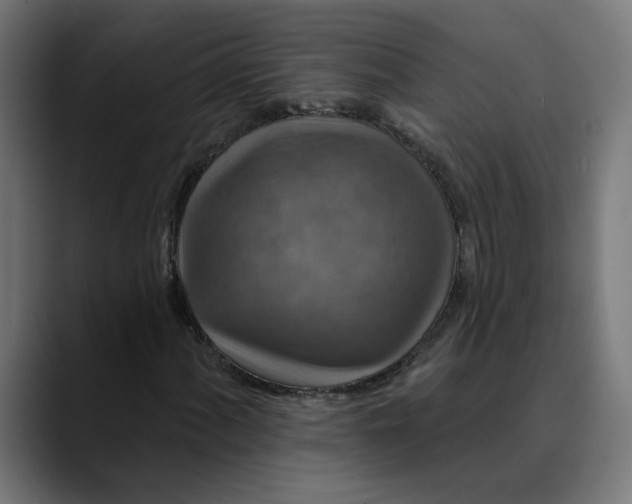 X0000089701060200707121350