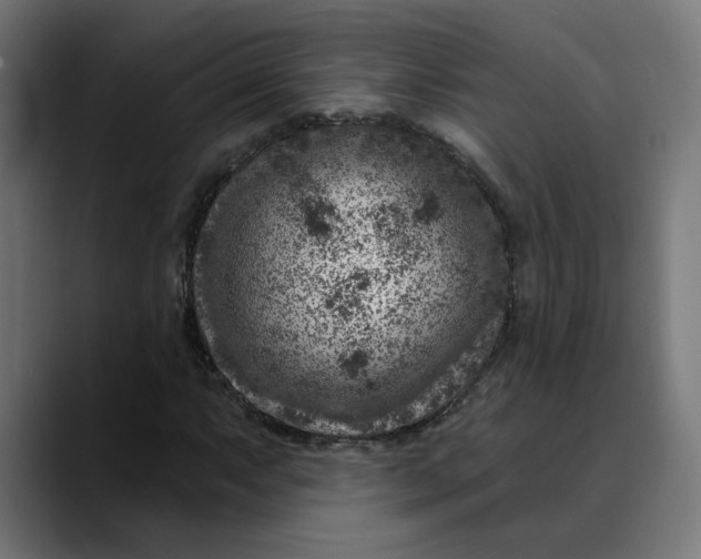 X0000089701063200707121350