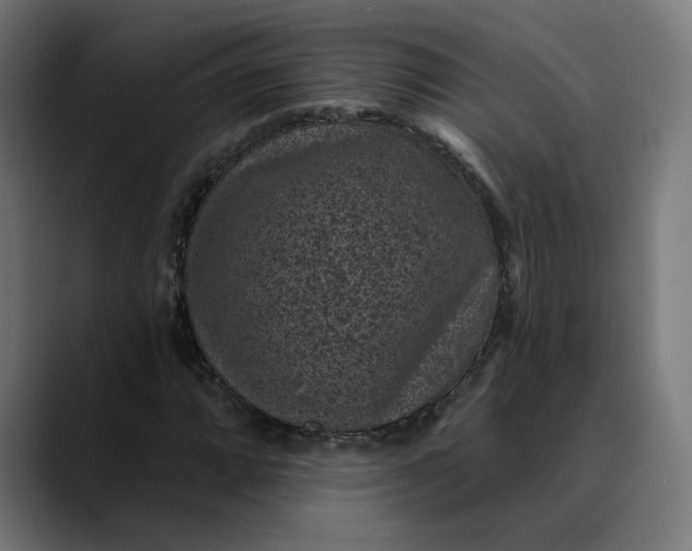 X0000089701064200707121350