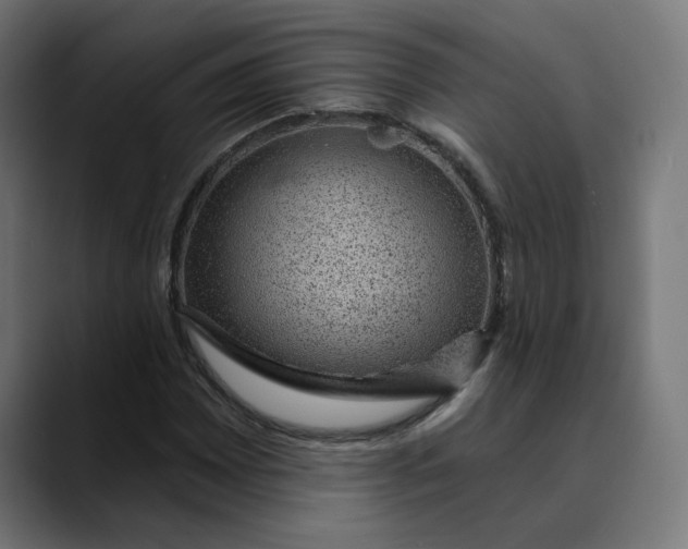 X0000089701065200707121350