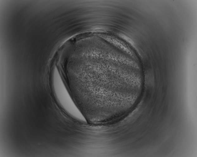 X0000089701066200707121350