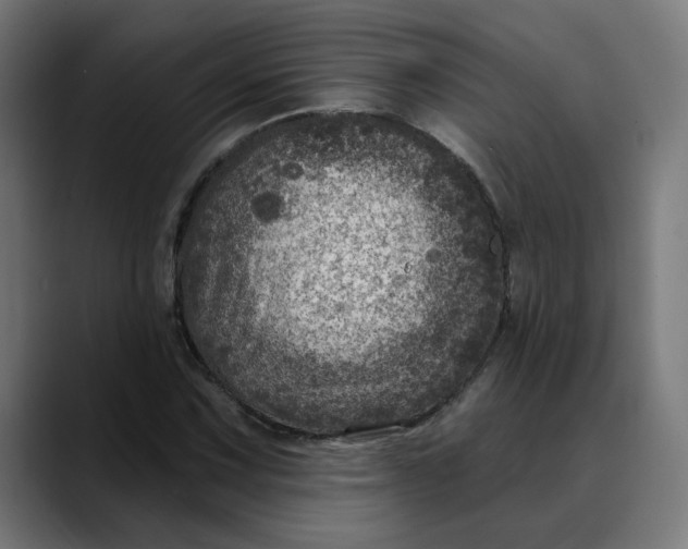 X0000089701067200707121350