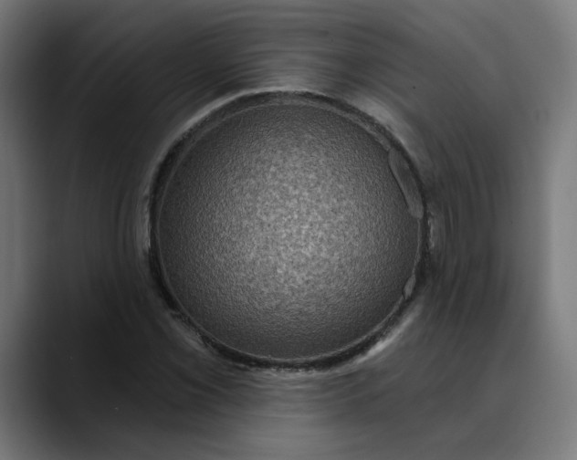 X0000089701069200707121350