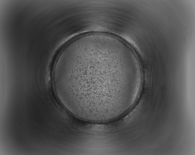 X0000089701070200707121350