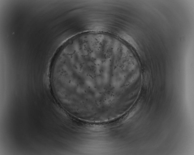 X0000089701071200707121350