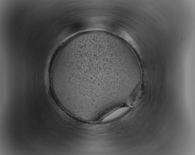 X0000089701072200707121350