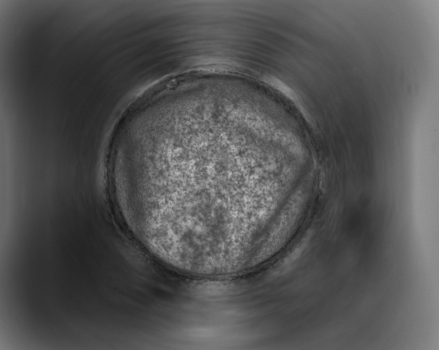 X0000089701074200707121350