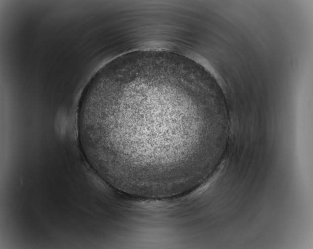 X0000089701075200707121350