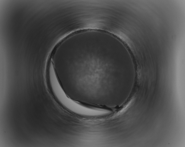 X0000089701077200707121350