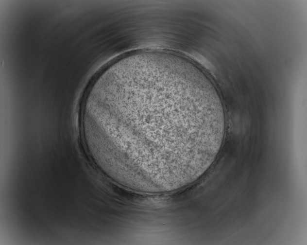 X0000089701078200707121350