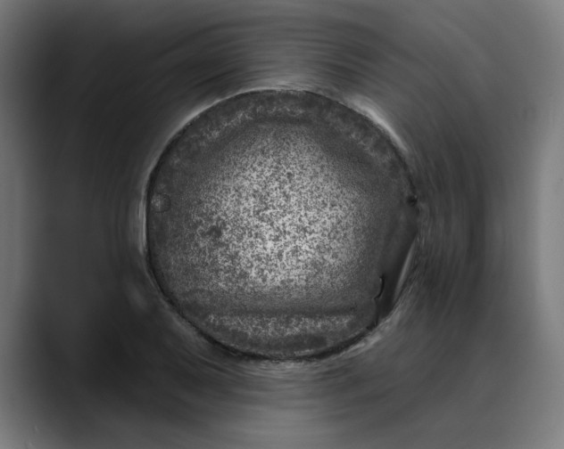 X0000089701079200707121350