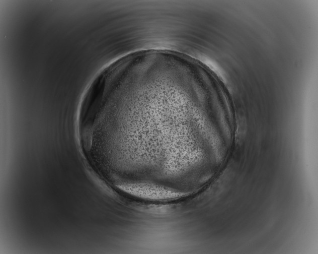 X0000089701080200707121350