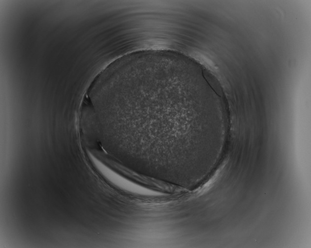 X0000089701081200707121350