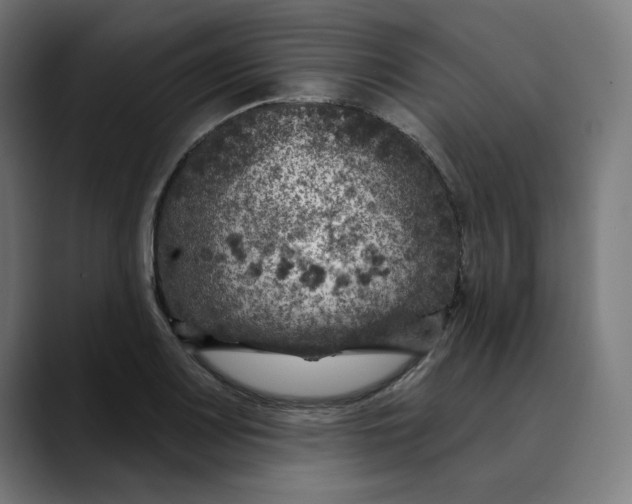 X0000089701083200707121350