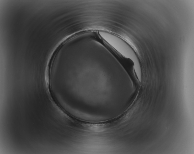 X0000089701084200707121350