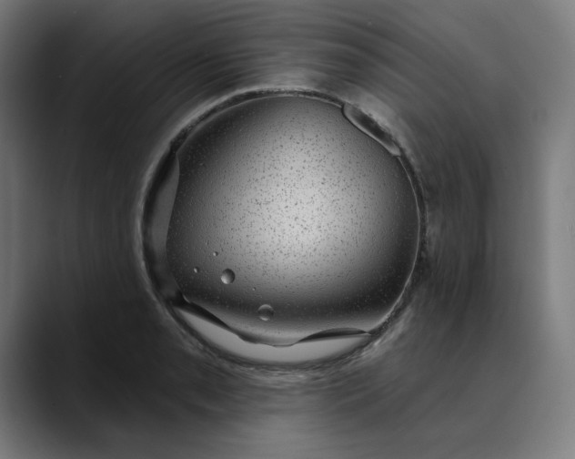 X0000089701085200707121350