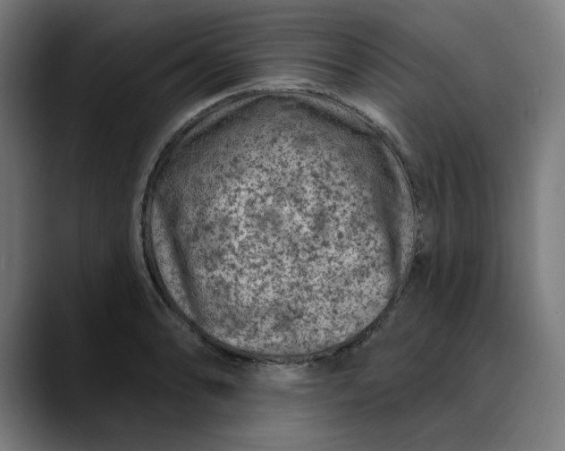 X0000089701086200707121350