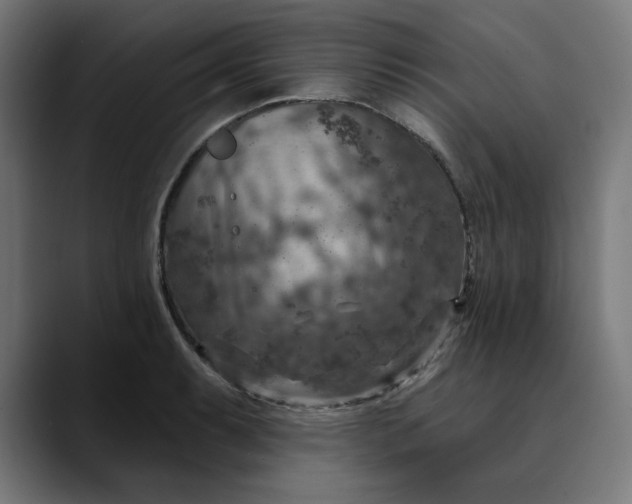 X0000089701087200707121350