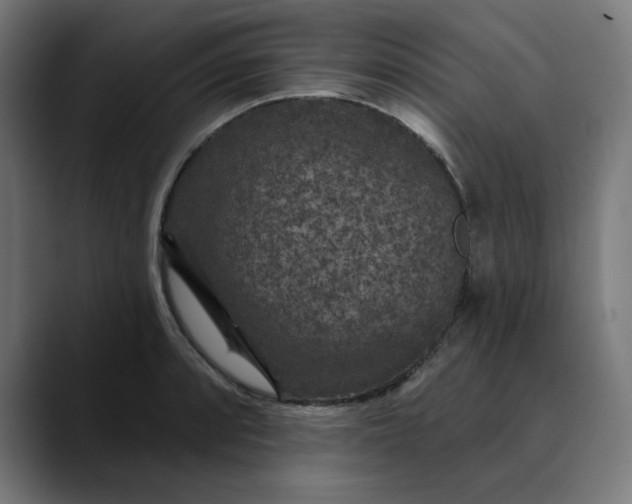 X0000089701088200707121350