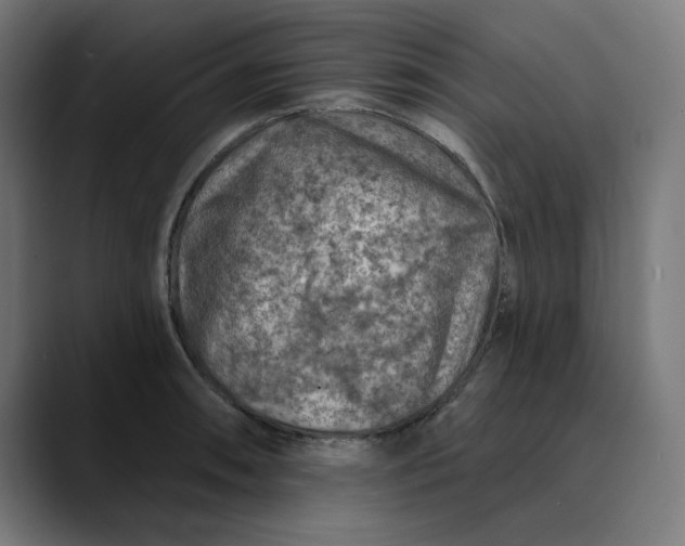 X0000089701090200707121349