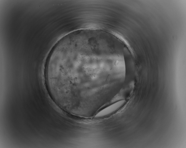 X0000089701091200707121349