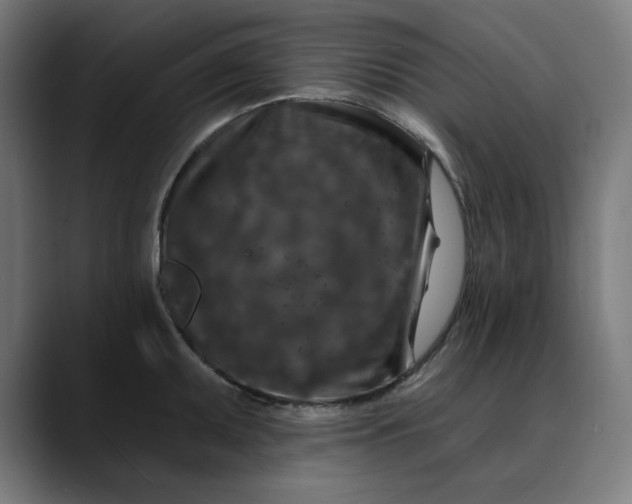 X0000089701095200707121349