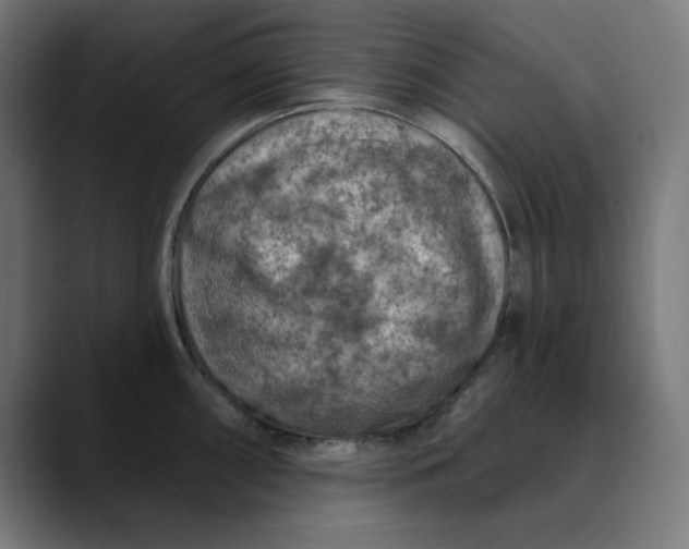 X0000089701098200707121349