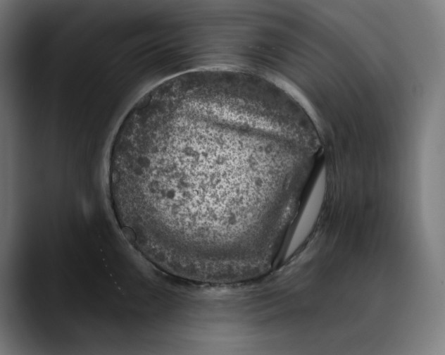 X0000089701099200707121349