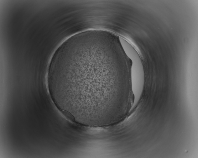 X0000089701100200707121349