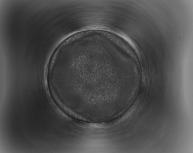 X0000089701102200707121349