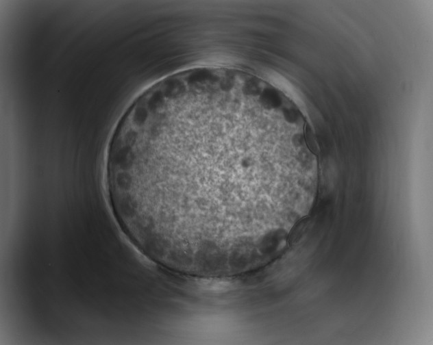 X0000089701103200707121349