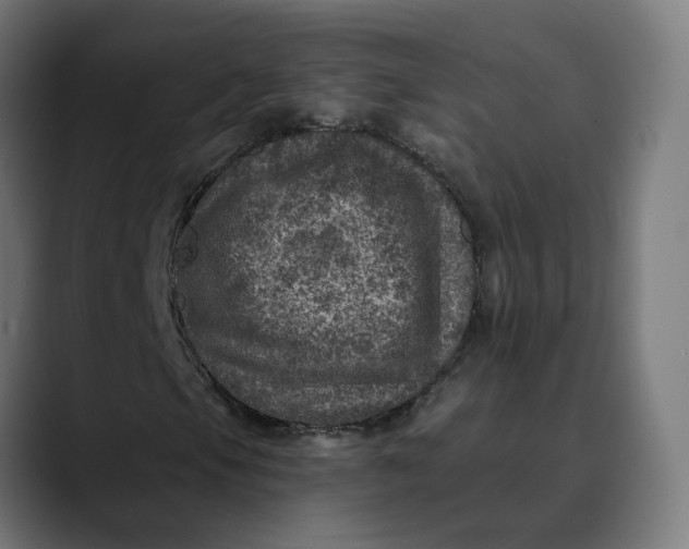 X0000089701105200707121349