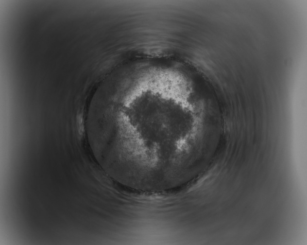 X0000089701106200707121349