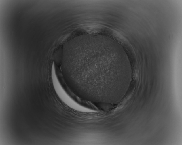 X0000089701108200707121349