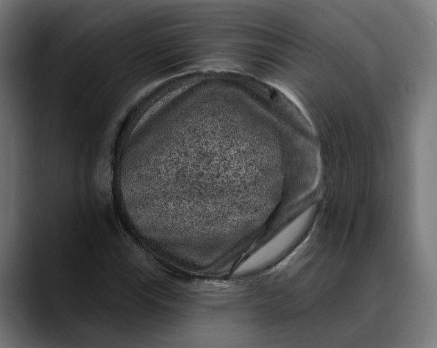 X0000089701115200707121349