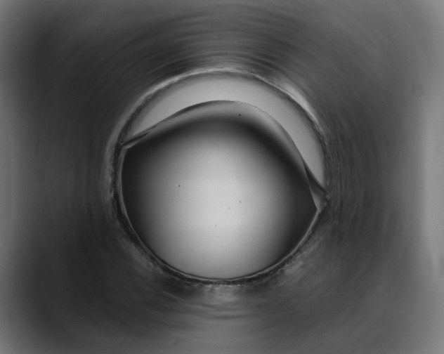 X0000089701116200707121349