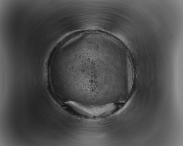 X0000089701118200707121349