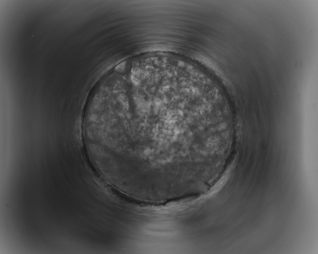 X0000089701121200707121349