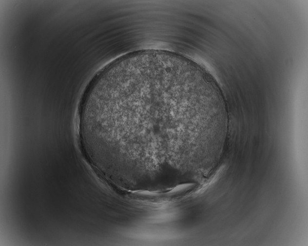 X0000089701125200707121349