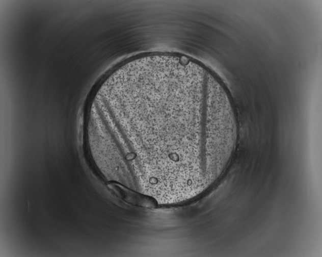 X0000089701126200707121349