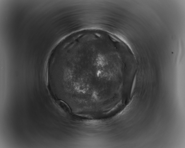 X0000089701127200707121349