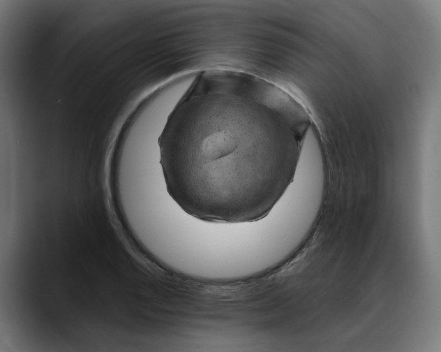 X0000089701128200707121349