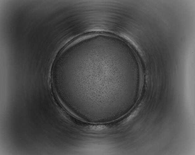 X0000089701129200707121349