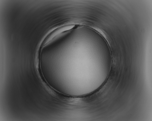 X0000089701131200707121349