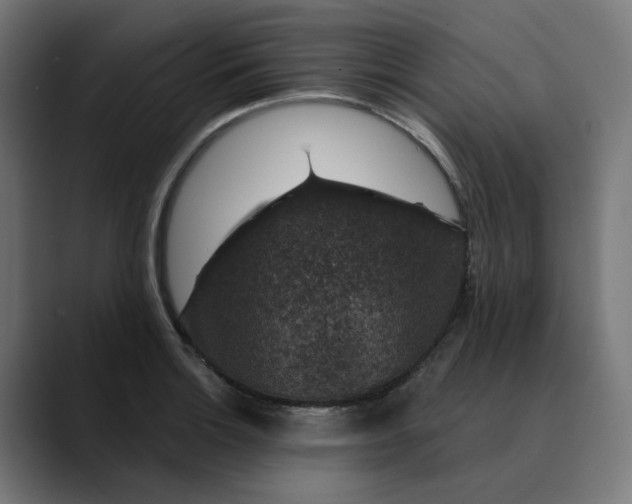 X0000089701132200707121349