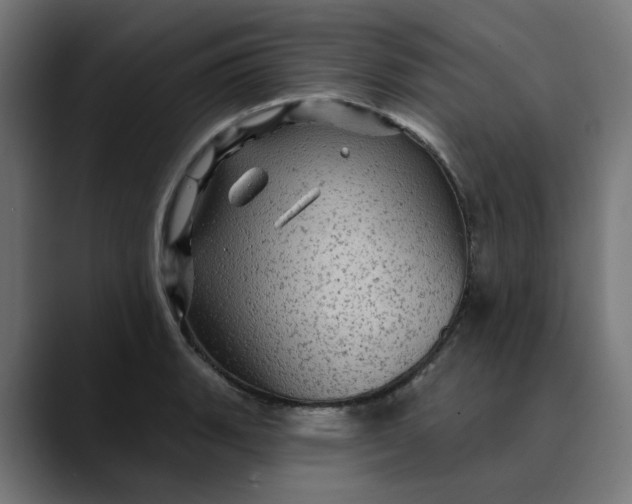 X0000089701135200707121349