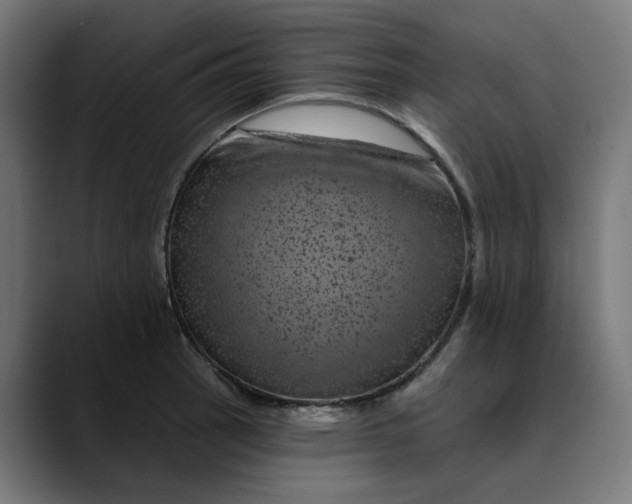 X0000089701137200707121349